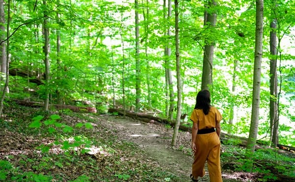 Preserve Burnet Woods will continue operation until the first quarter of 2025, but will then shift gears to focus on a new entity members are creating to fix “systemic dysfunction at Cincinnati Parks.”