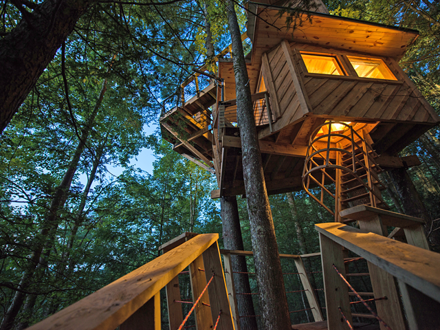 Get a new perspective at The Observatory Tree House.