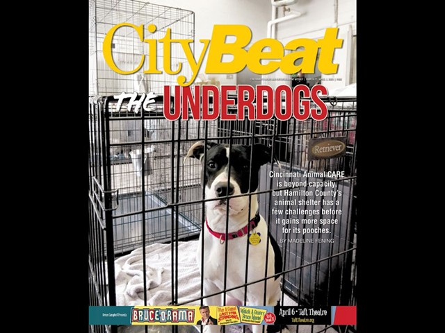 In CityBeat's latest issue, we explore the challenges faced by Hamilton county's animal shelter, Cincinnati Animal CARE.