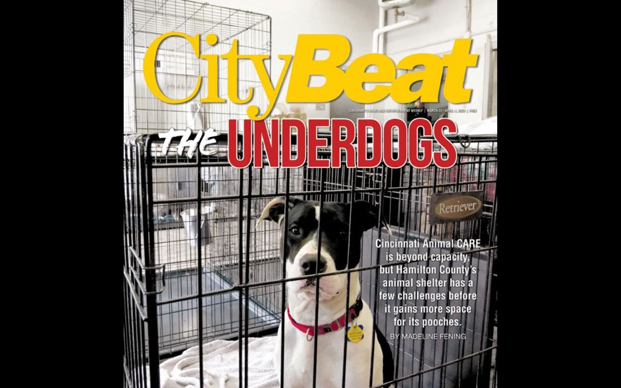 In CityBeat's latest issue, we explore the challenges faced by Hamilton county's animal shelter, Cincinnati Animal CARE.