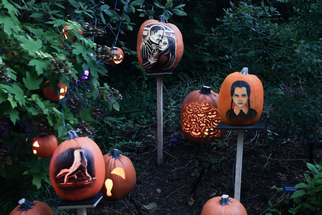 The opening night of the Jack O'Lantern Glow at the Cincinnati Zoo