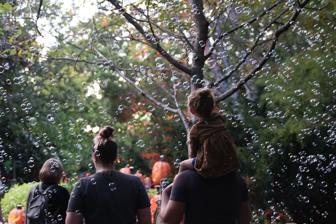 The opening night of the Jack O'Lantern Glow at the Cincinnati Zoo