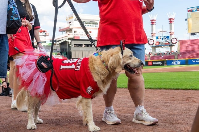 Dogs on parade for Bark in the Park | Cincinnati Reds vs. Atlanta Braves | Sept. 18, 2024