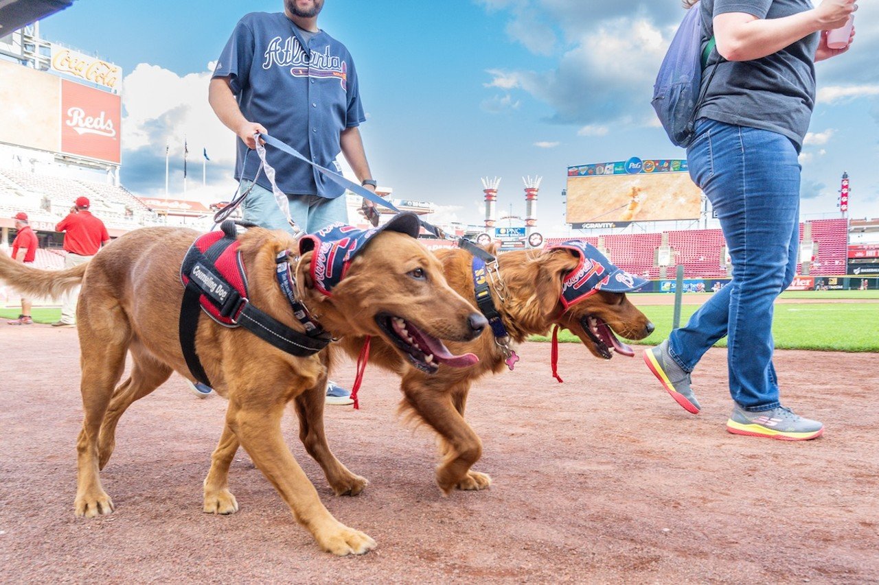 Dogs on parade for Bark in the Park | Cincinnati Reds vs. Atlanta Braves | Sept. 18, 2024