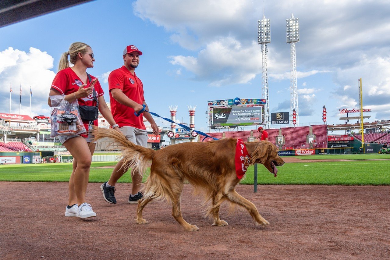 Dogs on parade for Bark in the Park | Cincinnati Reds vs. Atlanta Braves | Sept. 18, 2024