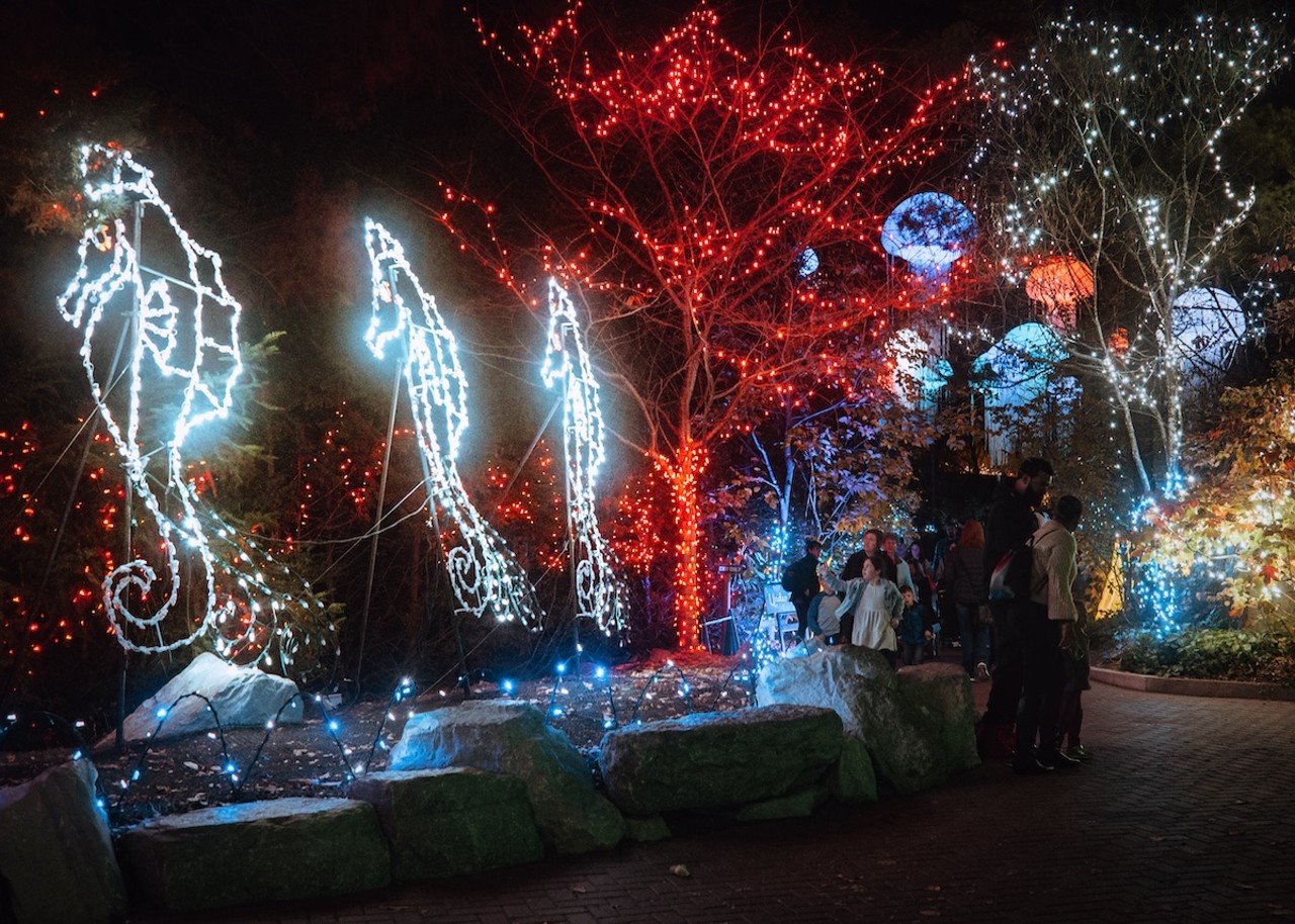 PNC Festival of Lights Preview Night at the Cincinnati Zoo and Botanical Garden on Nov. 16, 2023