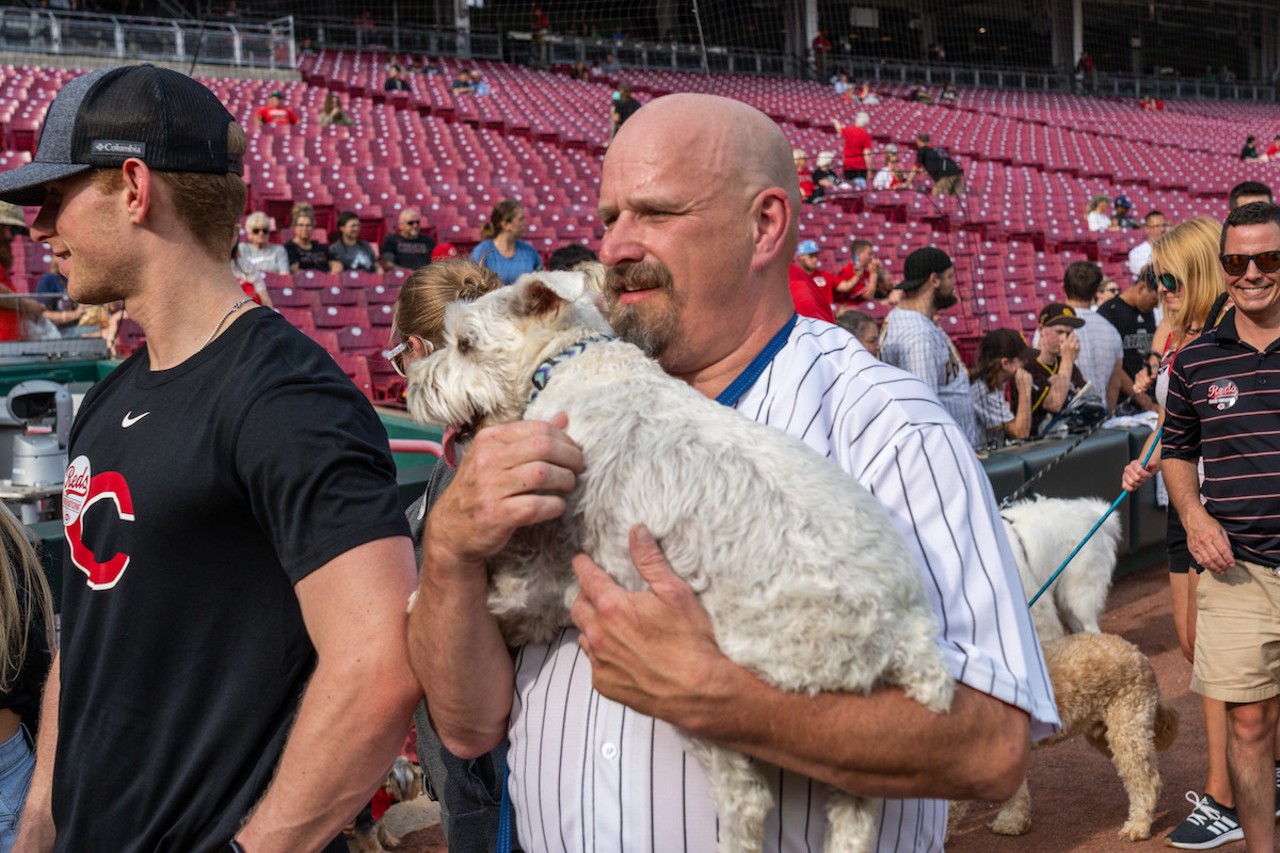 Dog at the Cincinnati Reds' Bark in the Park Wednesday, May 22