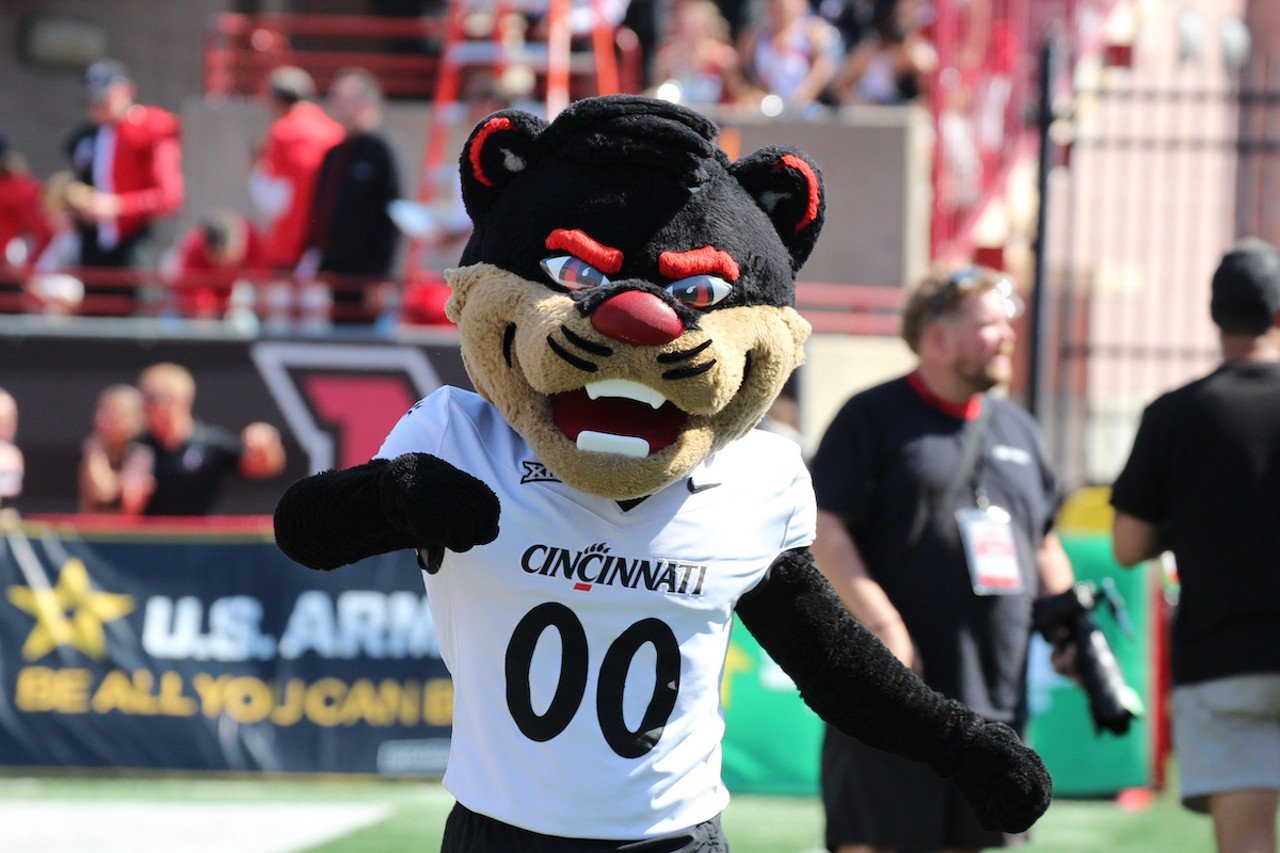 The University of Cincinnati Bearcat mascot