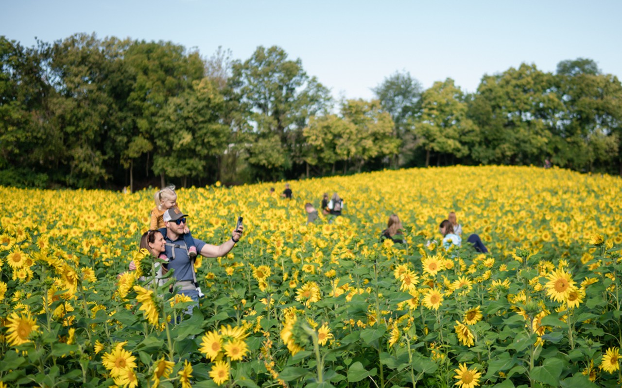 The Gorman Heritage Sunflower Festival is taking place on Oct. 7 and 8.