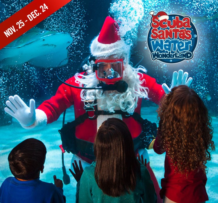 Scuba Santa's 20th Anniversary at Newport Aquarium
