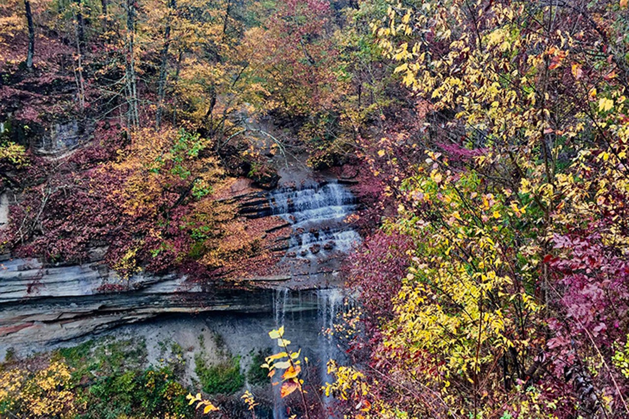 Clifty Falls State Park
2221 Clifty Drive, Madison, Indiana
Distance: About 1 hour 30 minutes
The park's namesake waterfalls are a great reason to come back again and again, as their appearance changes with the seasons. Clifty Canyon offers great scenery and hiking, and the Clifty Creek bed is full of fossils of ancient sea creatures. Visitors can also check out the nearby Lanier State Historic Site, the former mansion of James F.D. Lanier, a frontier banker.
Photo: Facebook.com/CliftyFallsSP