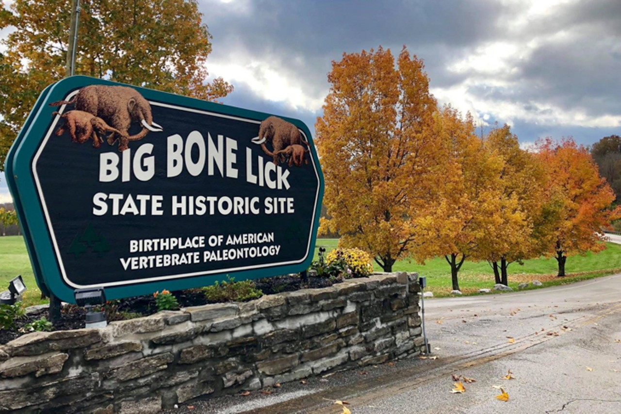 Big Bone Lick State Park
3380 Beaver Road, Union, Kentucky
Distance: About 30 minutes
This historic park is named after the gigantic Ice Age mammal bones discovered there, and includes a museum that displays the bones, Ordovician fossils, Native American artifacts and more. The park is also home to a herd of bison, a reminder of a time centuries ago when wild bison roamed the state. Other activities include hiking, orienteering and mini golf.
Photo: Facebook.com/BigBoneLickSHS