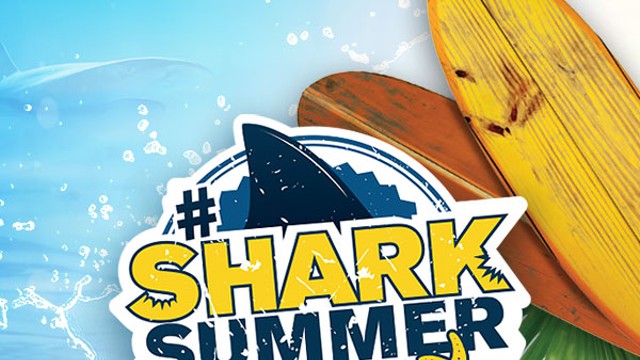 Shark Summer at Newport Aquarium