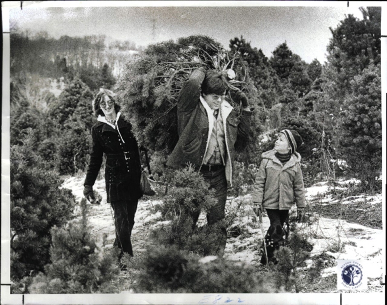 Northern Kentucky, 1977
"Helen, John & Dennis (6 yr) Lutz cutting their own Christmas tree at Dixie Pines (30 acres of trees on Rt. 547 at 1-40 Ft. ?) John owns own Co. N.K. Solitron, distributors of solar equipment."