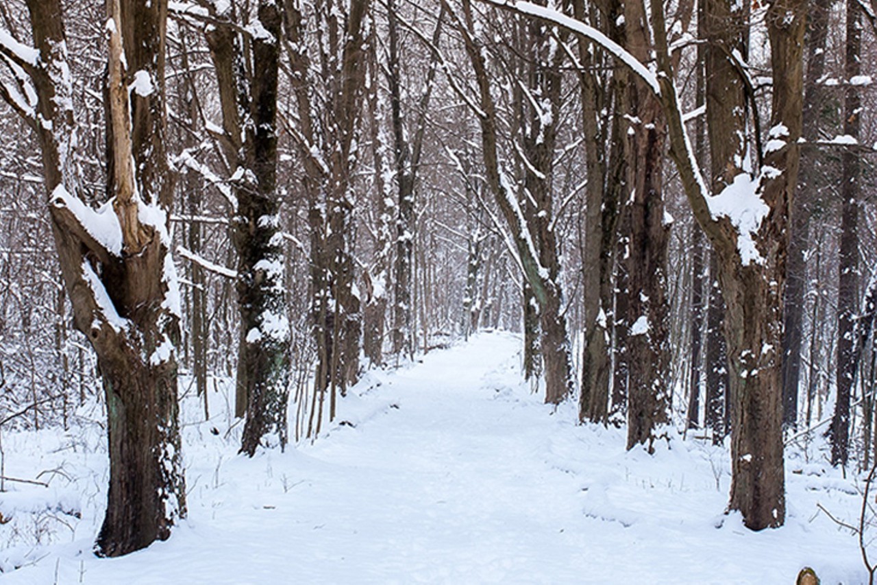 Feel One With Nature at These Greater Cincinnati Hiking Destinations
Don’t let the cold keep you inside all winter! Lace up your hiking boots, bundle up and get some fresh air by hitting one of Cincinnati’s many trails. You also don’t need to go it alone; Great Parks of Hamilton County is hosting its annual Winter Hike Series every Saturday through Feb. 3. Each week features a hike at a different Hamilton County park AND you get soup at the end. For a comprehensive list of some of Greater Cincinnati’s best hiking trails, check out the link above.