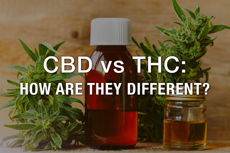 How Are They Different? CBD vs THC
