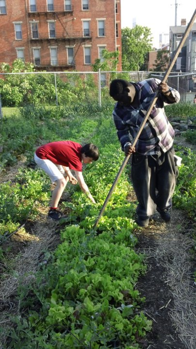 Two youth interns work in the Eco Garden.