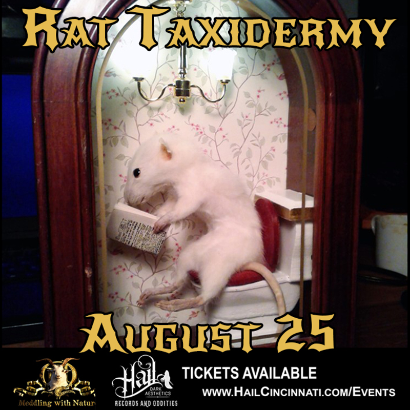 Learn How to Taxidermy Your Very Own Anthropomorphic Rat at Hail Dark Aesthetics