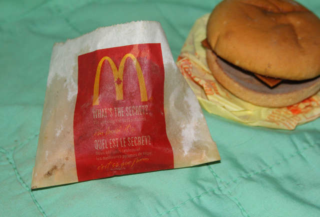 This is what a 6-year-old McDonald's burger and fries looks like - Photo: ebay/sharonrobyn