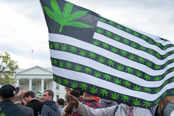 U.S. House Makes Historic Vote to Federally Decriminalize Marijuana
