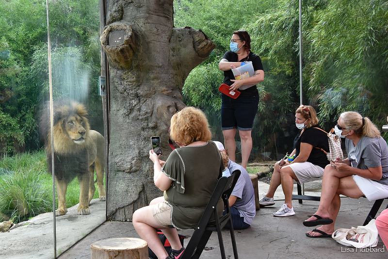 Beastly Breakfast - Photo: Provided by the Cincinnati Zoo/Lisa Hubbard