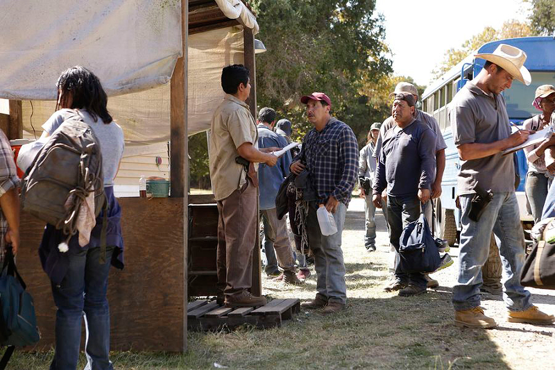 Benito Martinez (red hat) contributes to the top-notch acting in 'American Crime.' - Photo: Nicole Wilder/Courtesy of ABC