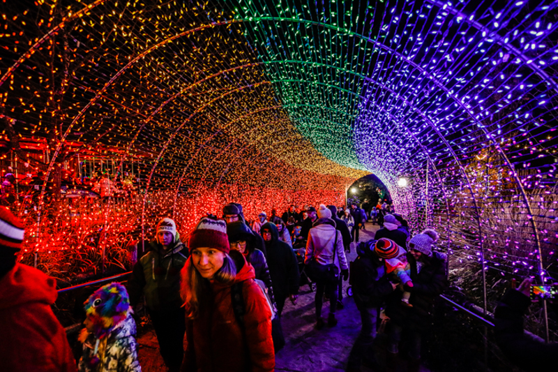 Festival of Lights - Photo: Hailey Bollinger