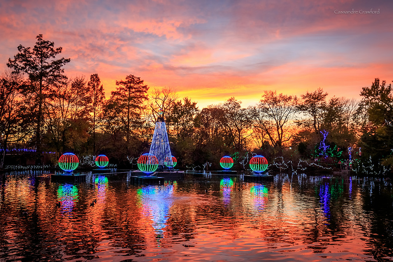 The Festival of Lights - Photo: Cassandre Crawford/Cincinnati Zoo