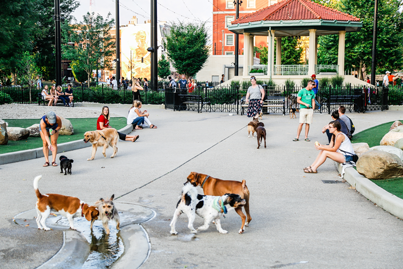 The dog park at Washington Park - Photo: Hailey Bollinger