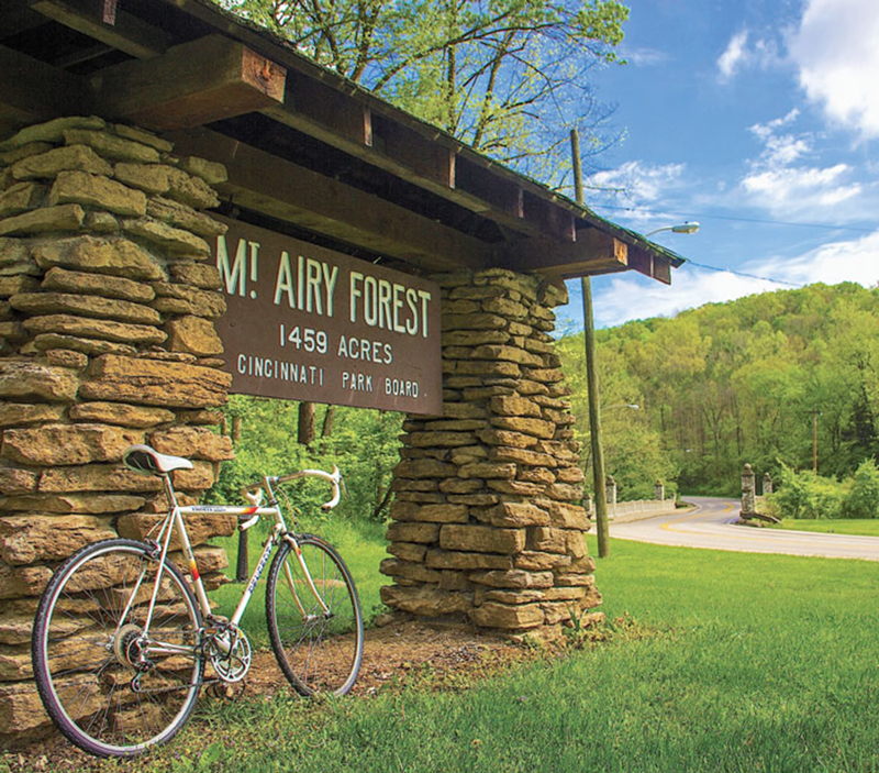 Nick got lost in Mount Airy Forest and enjoyed it immensely.