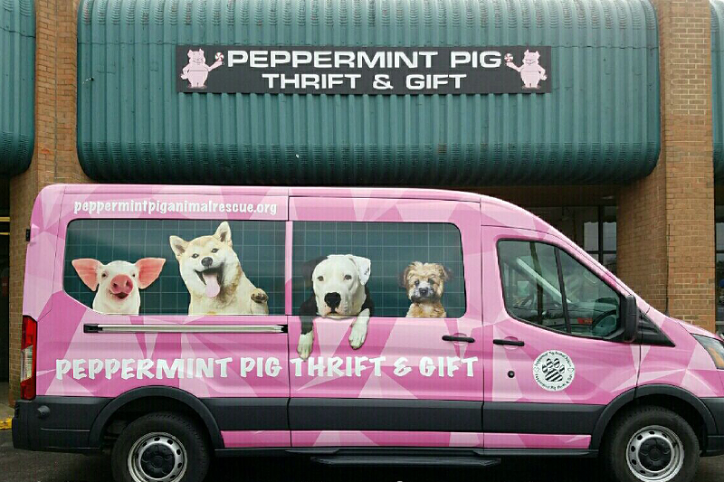 Peppermint Pig Thrift & Gift - Photo: Facebook.com/PeppermintPigAnimalRescue