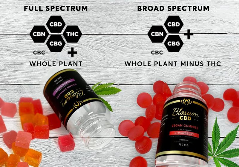 How to Find the Best CBD Gummies