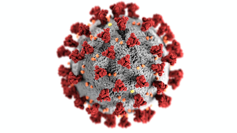 A rendering of COVID-19 - Photo: CDC