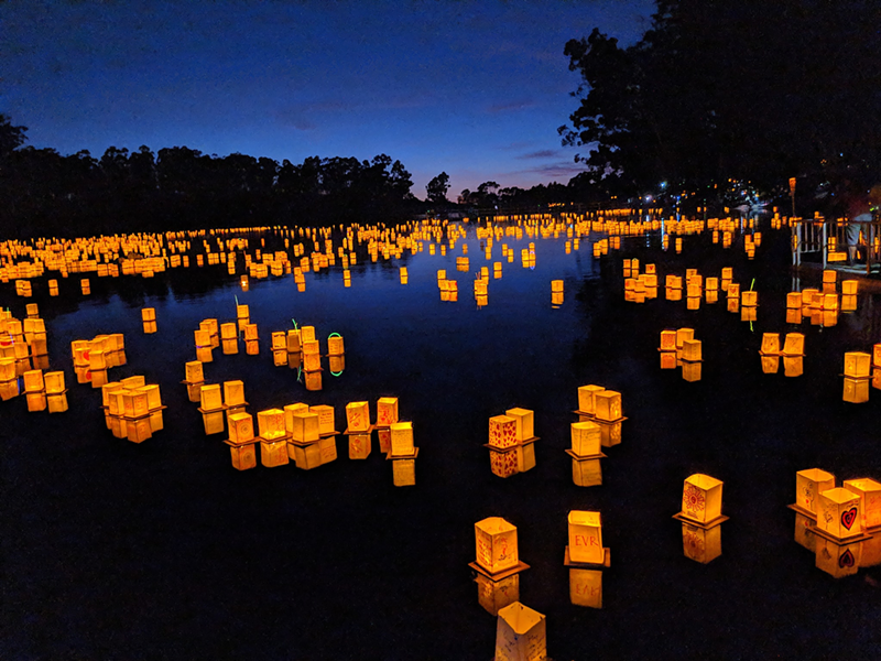 Floating Luminaries will Set Eden Park Aglow During the 1000 Lights Water Lantern Festival