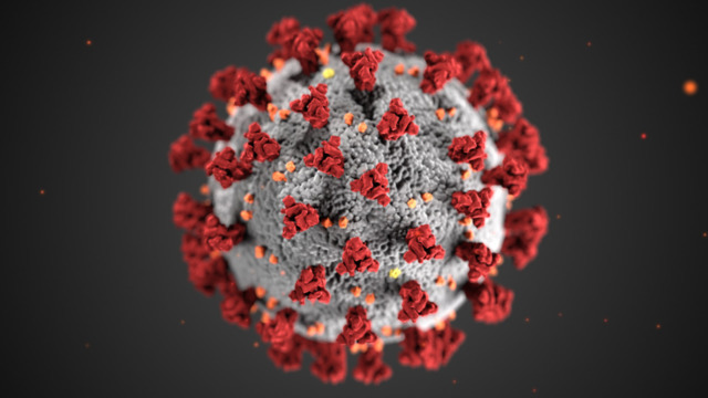 A rendering of COVID-19 - Photo: Centers of Disease Control and Prevention