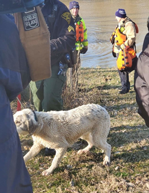 Dog on a Log Rescued by Cincinnati Firefighters and Police Officers