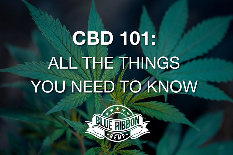 CBD 101: All The Things You Need to Know