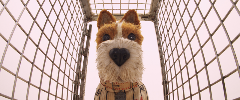 Boss (voiced by Bill Murray) in Isle of Dogs - Photo: Courtesy of Fox Searchlight Pictures