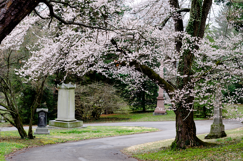 Spring Grove Cemetery - Photo: Kellie Coleman