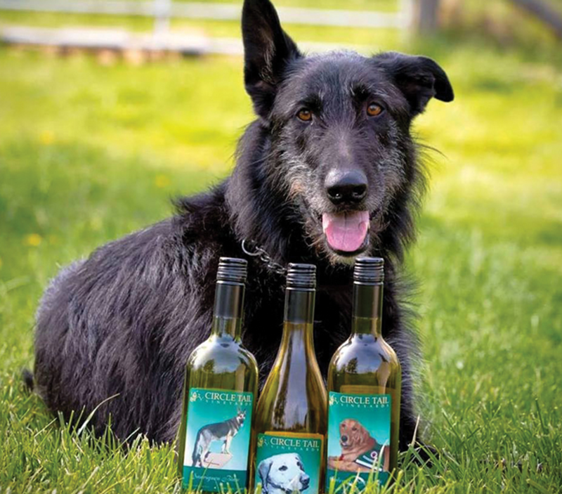 Event: Circle Tail Dinner: Art and Wine for Canines