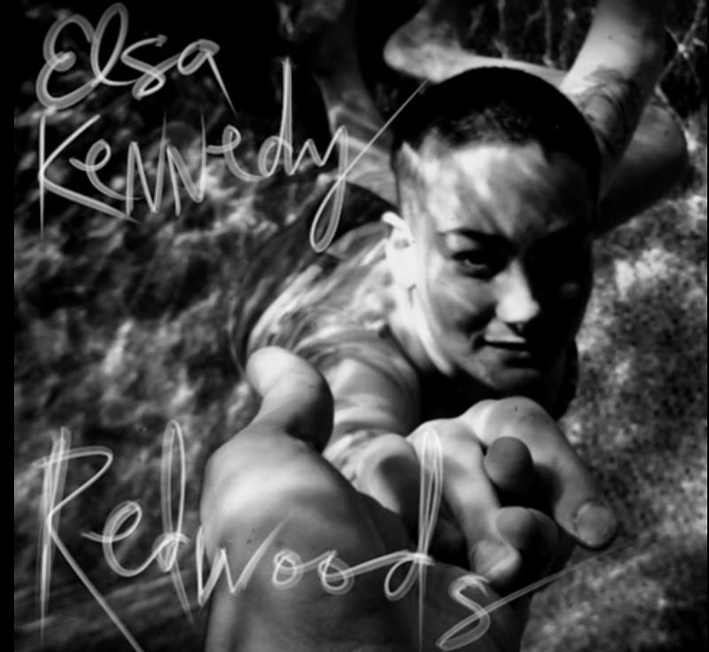 Elsa Kennedy's "Redwoods" - Provided by the artist