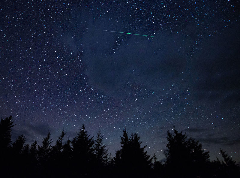 A photo of the Perseid meteor shower over West Virginia - NASA/Bill Ingalls