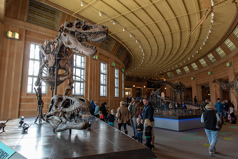 Dinosaur Hall at Cincinnati Museum Center - Photo: Devin Luginbill