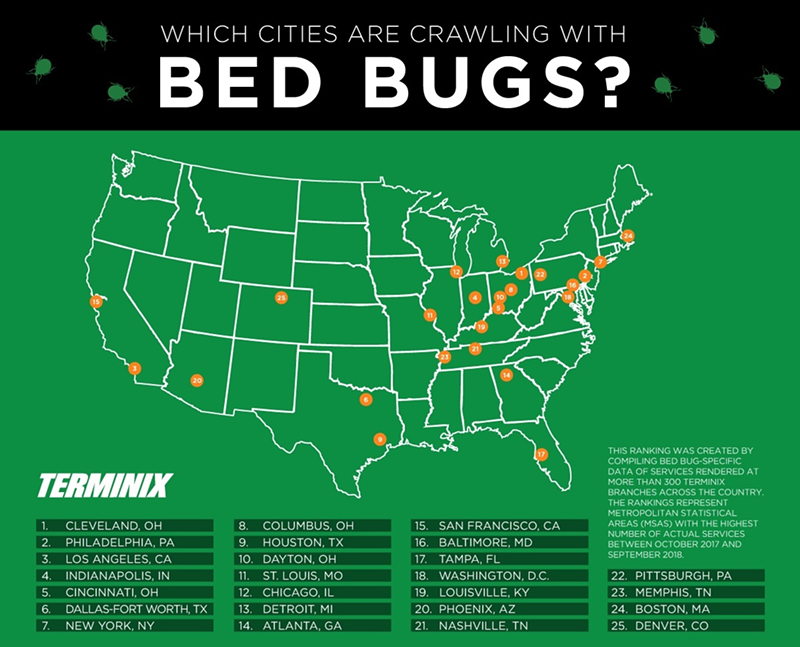 Cincinnati is the Fifth Worst City for Bed Bugs in America
