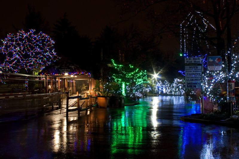 Events: Festival of Lights at Cincinnat Zoo