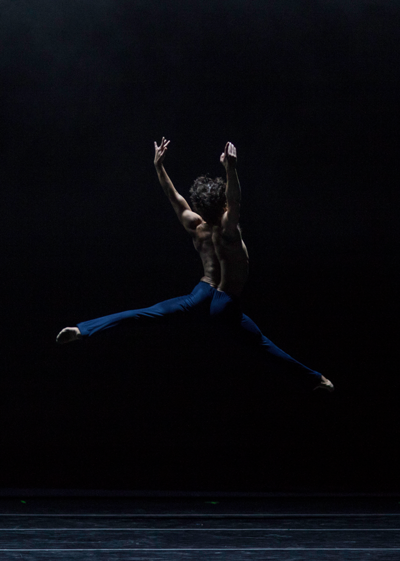 Dancer/Moving Arts fest co-creator Cervilio Miguel Amado - PHOTO: PHILIP KOENIG