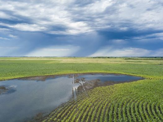 From record rainfall to drought, the effects of climate change on Ohio's weather patterns prompt plenty of uncertainty for farmers. - Photo: AdobeStock