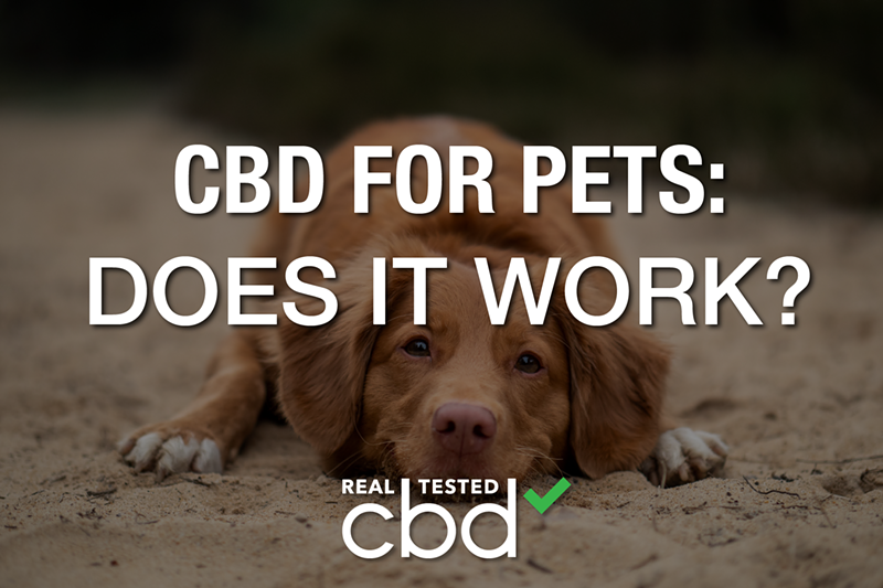 CBD for Pets: Does It Work?