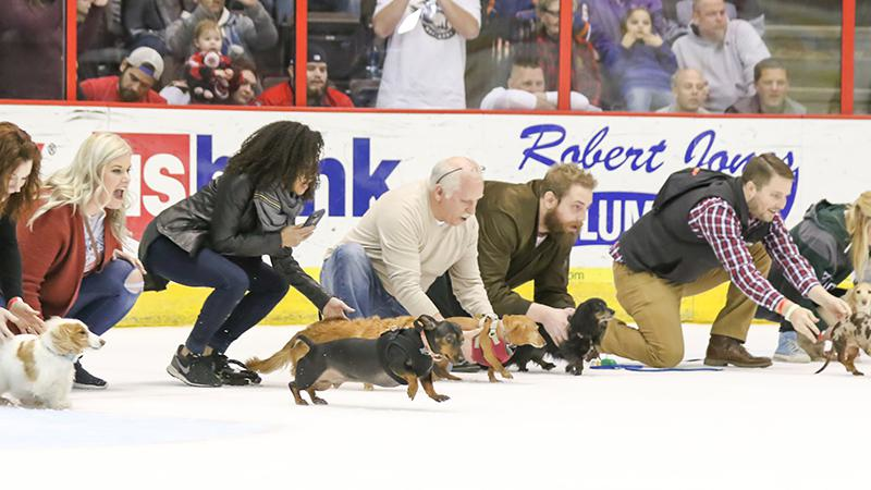 How fast is your wiener? - Photo: Provided by Cincinnati Cyclones