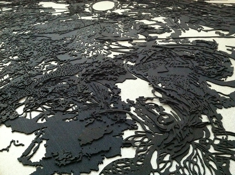"Surfaces" - Joomi Chung/Courtesy Weston Art Gallery